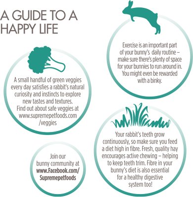 Science Selective Adult Rabbit Food