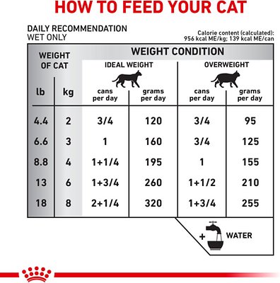 Royal Canin Feline Selected Protein PV Loaf in Sauce Canned Cat Food