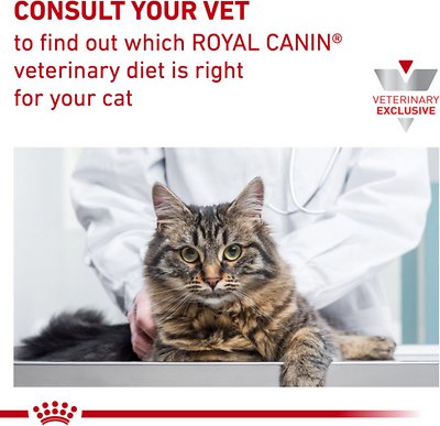 Royal Canin Veterinary Diet Selected Protein Adult PV Loaf in Sauce Canned Cat Food