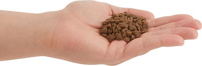 ACANA First Feast Kitten Recipe Dry Food
