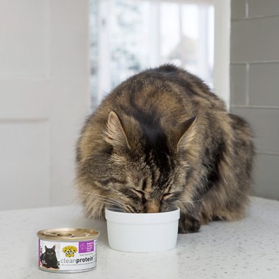 Dr. Elsey's CleanProtein Rabbit & Turkey Recipe Paté