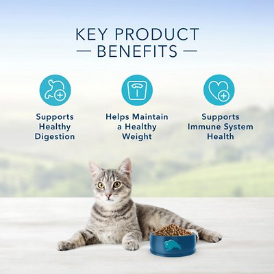 Blue Buffalo Healthy Living Chicken & Brown Rice Recipe Adult Dry Cat Food