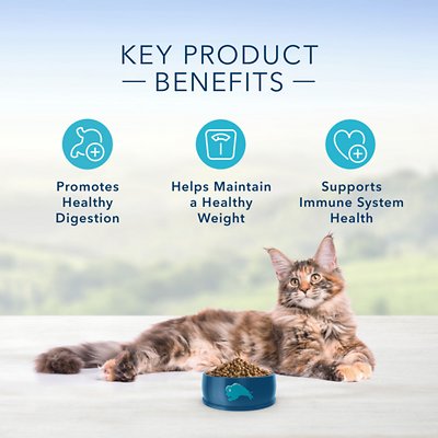 Blue Buffalo Indoor Health Chicken & Brown Rice Recipe Adult Dry Cat Food