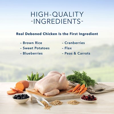 Blue Buffalo Indoor Health Chicken & Brown Rice Recipe Adult Dry Cat Food