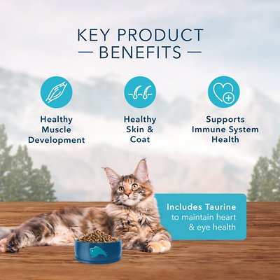Blue Buffalo Wilderness Chicken Recipe Grain-Free Dry Cat Food