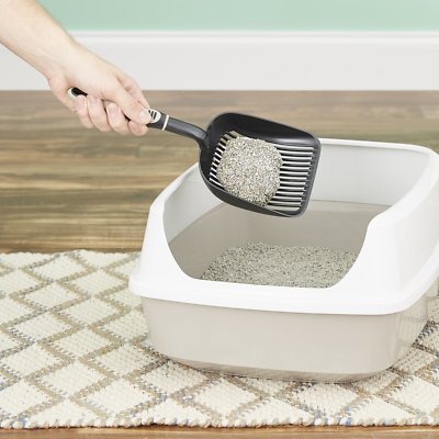 Dr. Elsey's Precious Cat Ultra Unscented Clumping Clay Cat Litter
