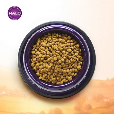 HALO HOLISTIC Seafood Medley Sensitive Stomach Dry Food