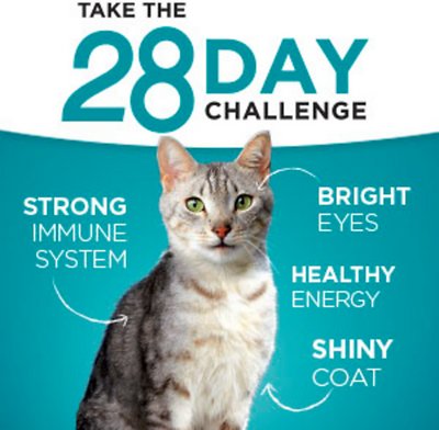 Purina ONE Sensitive Skin & Stomach Dry Cat Food