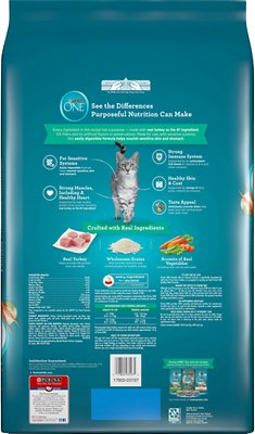 Purina ONE Sensitive Skin & Stomach Dry Cat Food