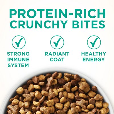 Purina ONE Sensitive Skin & Stomach Dry Cat Food