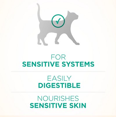 Purina ONE Sensitive Skin & Stomach Dry Cat Food