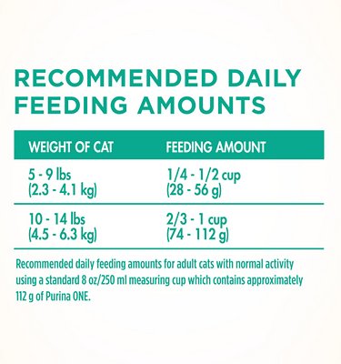 Purina ONE Sensitive Skin & Stomach Dry Cat Food