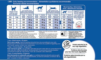 Royal Canin Indoor Adult Dry Cat Food