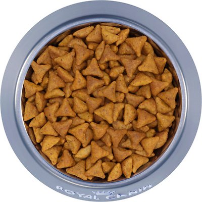 Royal Canin Indoor Adult Dry Cat Food