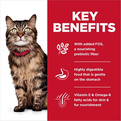 Hill's Science Diet Adult Sensitive Stomach & Skin Chicken & Rice Recipe Dry Cat Food