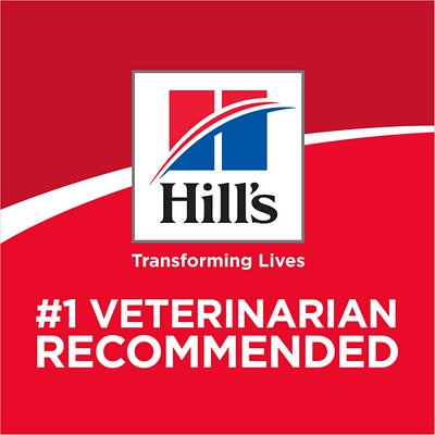 Hill's Science Diet Adult Sensitive Stomach & Skin Chicken & Rice Recipe Dry Cat Food