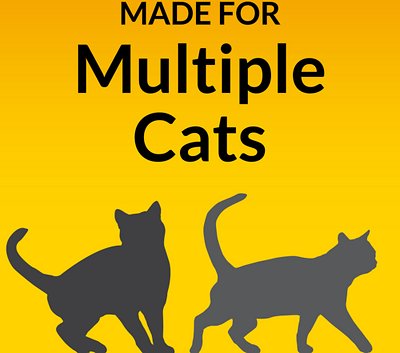 Tidy Cats 24/7 Performance Scented Non-Clumping Clay Cat Litter