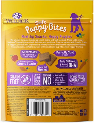 Wellness Cat Food
