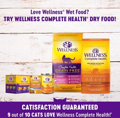 Wellness Complete Health Pate Chicken Entree Grain-Free Canned Cat Food
