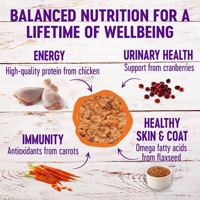 Wellness Complete Health Pate Chicken Entree Grain-Free Canned Cat Food