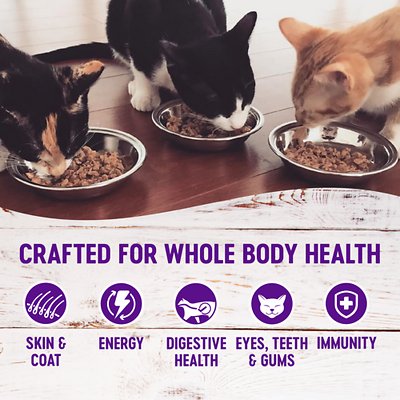 Wellness Complete Health Pate Chicken Entree Grain-Free Canned Cat Food