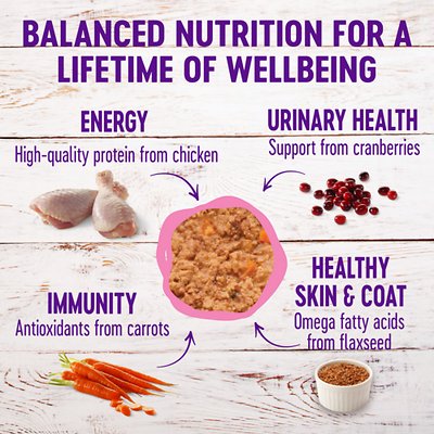 Wellness Complete Health Kitten Formula Grain-Free Canned Cat Food
