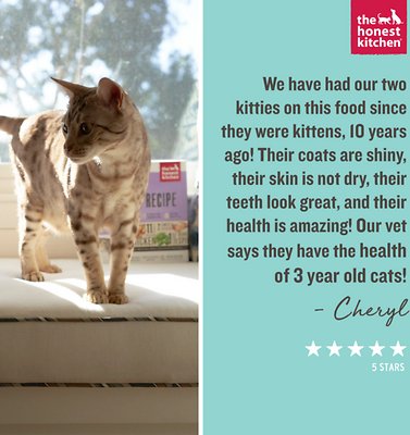 The Honest Kitchen Grain-Free Turkey Dehydrated Cat Food
