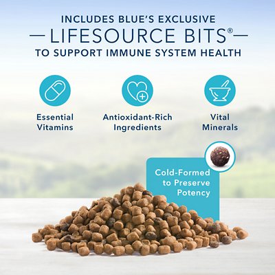 Blue Buffalo Sensitive Stomach Chicken Recipe Adult Dry Cat Food