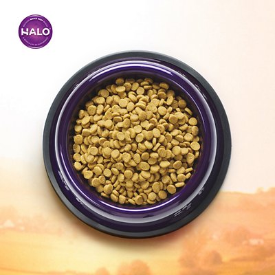 Halo Holistic Wild Salmon & Whitefish Recipe Adult Dry Cat Food