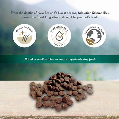 Addiction Salmon Bleu Dry Cat Food