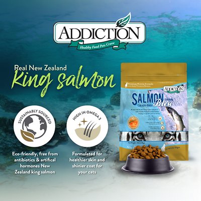 Addiction Salmon Bleu Dry Cat Food
