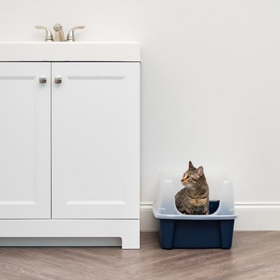 IRIS Open Top Litter Box with Shield