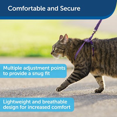 PetSafe Come With Me Kitty Nylon Cat Harness & Bungee Leash