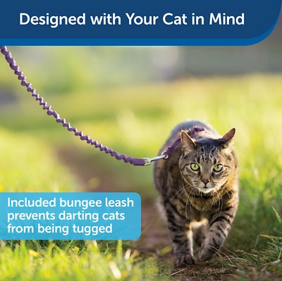 PetSafe Come With Me Kitty Nylon Cat Harness & Bungee Leash