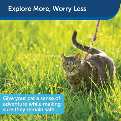 PetSafe Come With Me Kitty Nylon Cat Harness & Bungee Leash