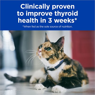 Hill's Prescription Diet y/d Thyroid Care with Chicken Canned Cat Food