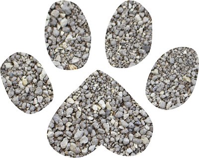 Dr. Elsey's Precious Ultra Scented Clumping Clay Cat Litter