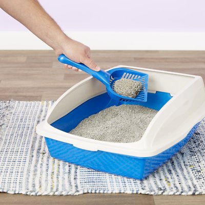 Dr. Elsey's Precious Ultra Scented Clumping Clay Cat Litter