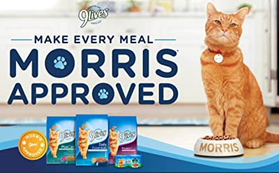 9Lives Daily Essentials with Chicken, Beef, & Salmon Flavor Dry Food