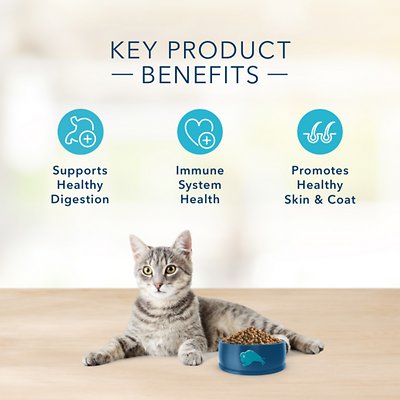 Blue Buffalo Basics Limited Ingredient Grain-Free Formula Duck & Potato Indoor Adult Dry Cat Food