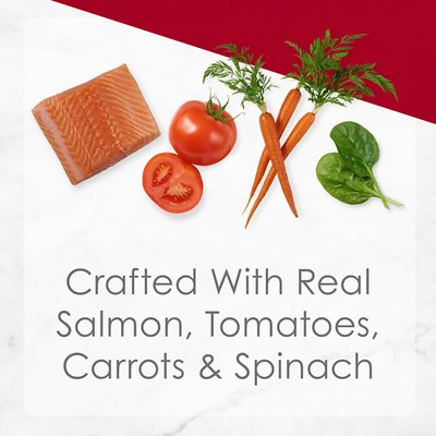 Fancy Feast Medleys Wild Salmon Primavera Canned Cat Food