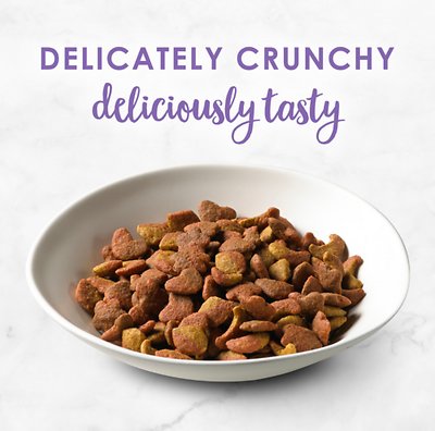Fancy Feast Gourmet Savory Chicken & Turkey Dry Cat Food
