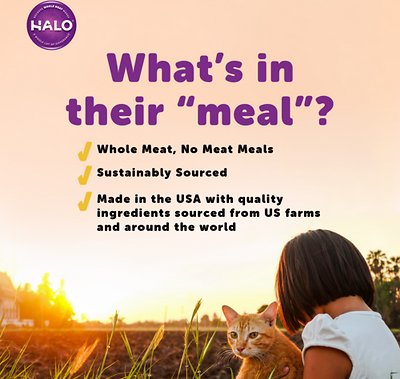 Halo Rabbit & Garden Greens Recipe Grain-Free Sensitive Stomach Canned Cat Food