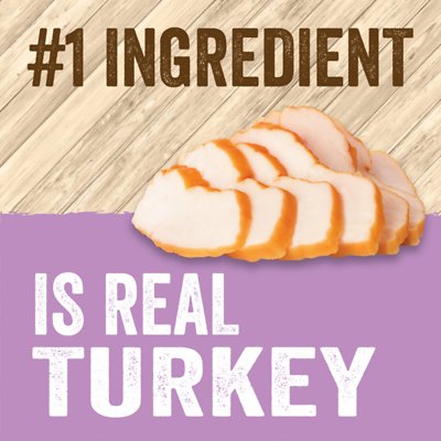 EVOLVE Classic Kitten Turkey Recipe Canned Cat Food