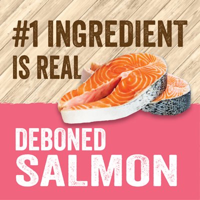 EVOLVE Classic Deboned Salmon, Rice & Sweet Potato Formula Dry Food