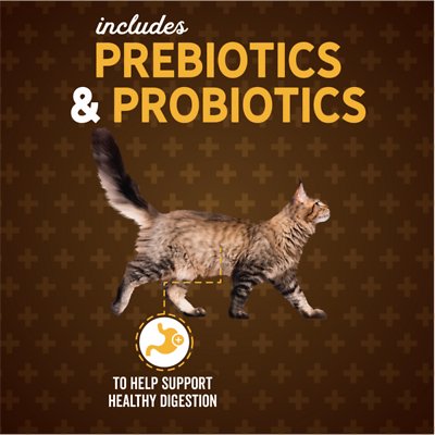 EVOLVE Classic Deboned Salmon, Rice & Sweet Potato Formula Dry Food