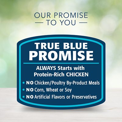 Blue Buffalo Freedom Indoor Mature Chicken Recipe Grain-Free Canned Cat Food