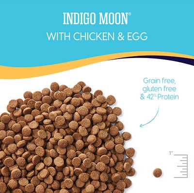 Solid Gold Cat Food