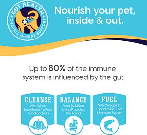 Solid Gold Indigo Moon with Chicken & Eggs Grain-Free High Protein Dry Cat Food