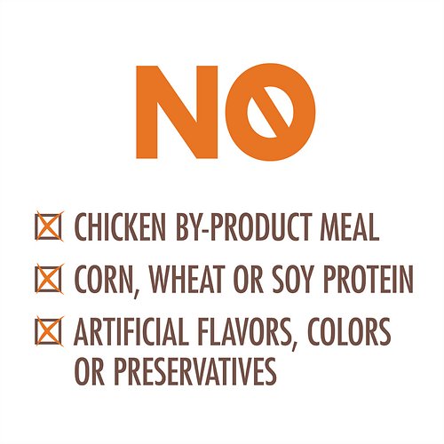 Nutro Wholesome Essentials Indoor Chicken & Brown Rice Recipe Adult Dry Cat Food